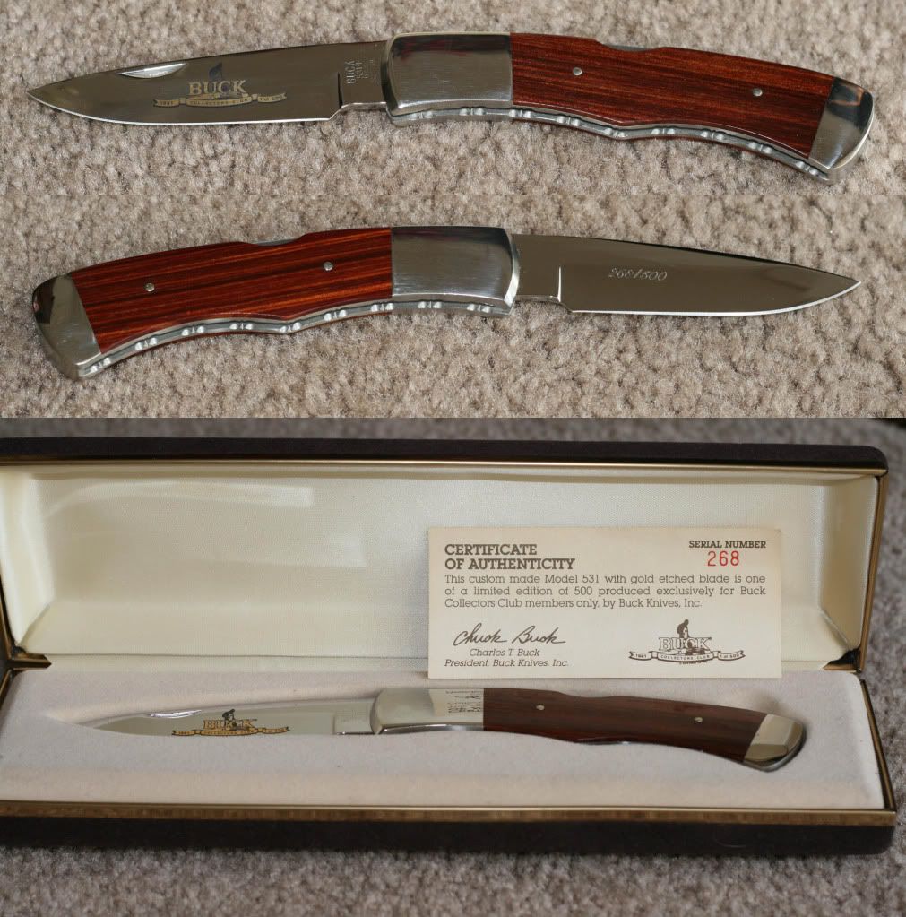 BuckBCCI531.jpg