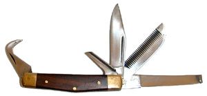 H5154.JPG