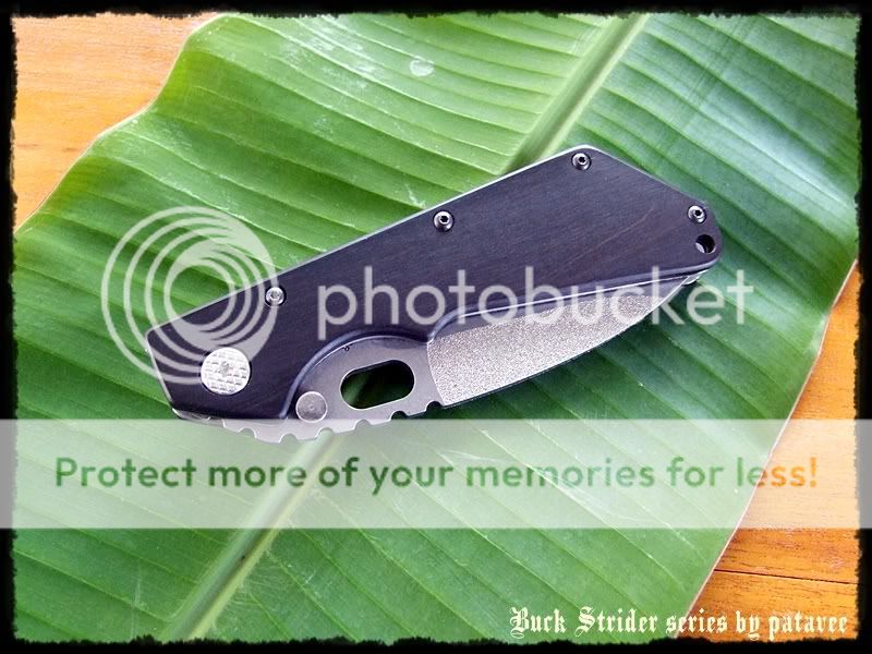 striderDSCF9157.jpg