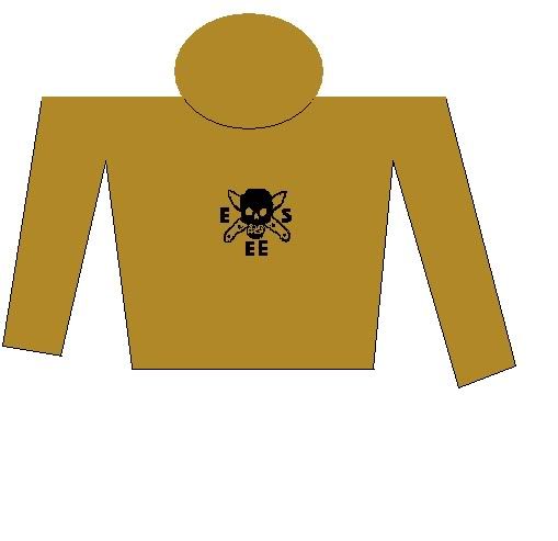ESEEHoodie.jpg