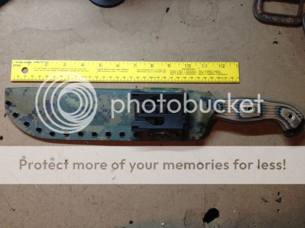 d99367dd.jpg
