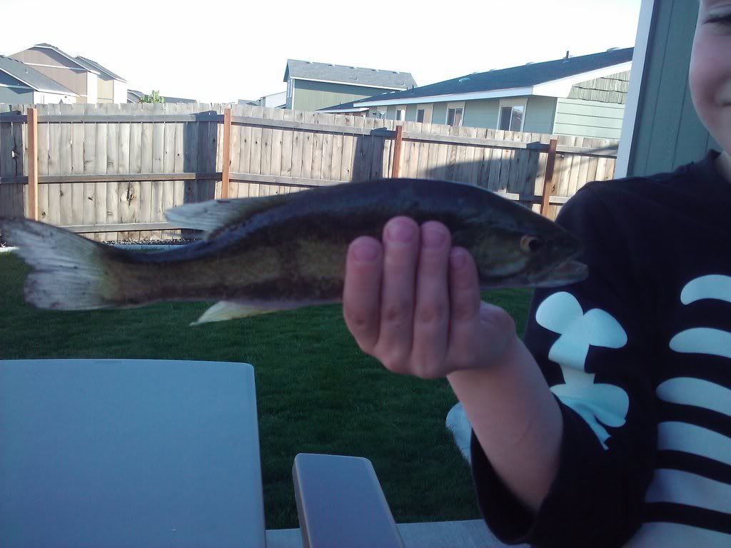 101064908_photobucket_95022_.jpg