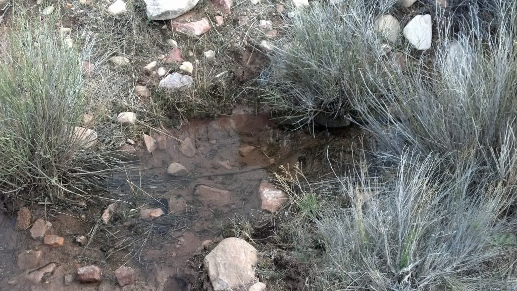 2012-02-27_15-31-53_502.jpg