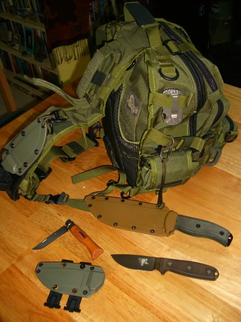Currentgearsetup016.jpg