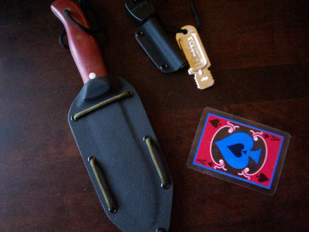 Fiddleback012.jpg