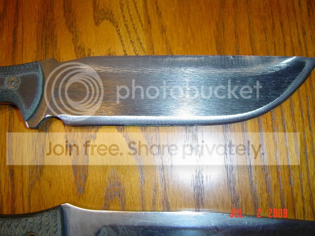 Picture004.jpg