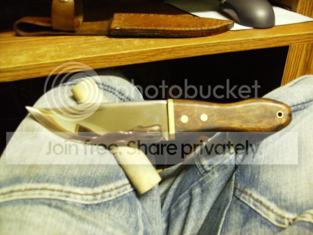 HPIM0717-1.jpg