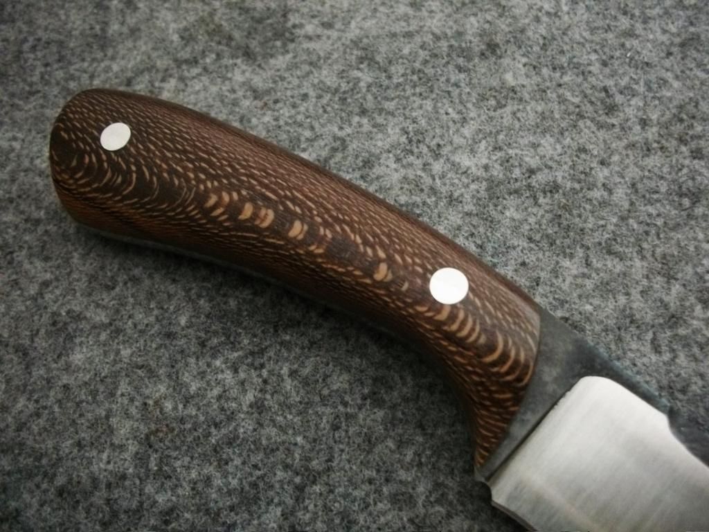 CAMPY124.jpg