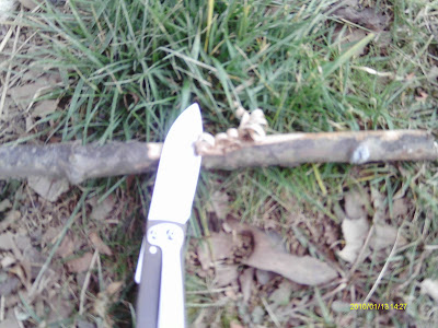 IMAG0054.JPG