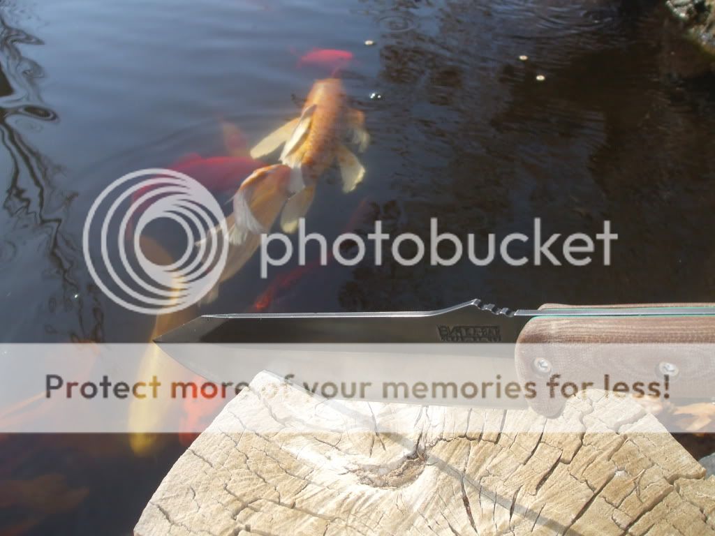 pondbeckerpics003.jpg