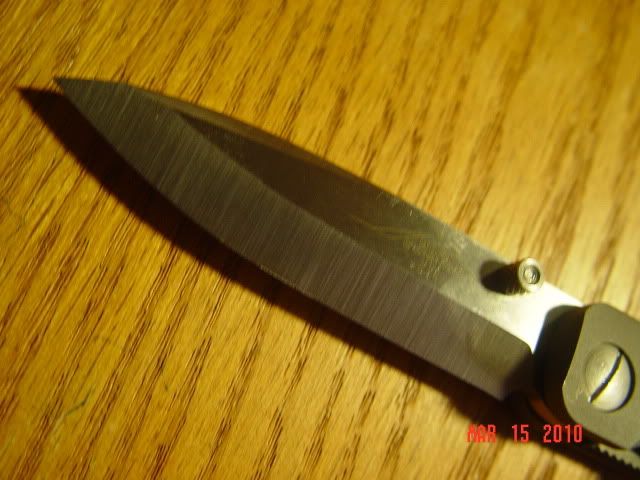 DSC00096.jpg