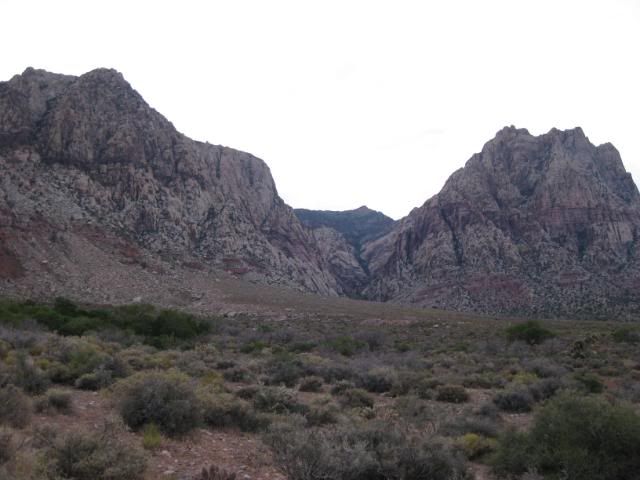 IMG_1111.jpg