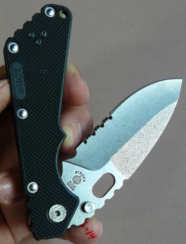Buck001.jpg