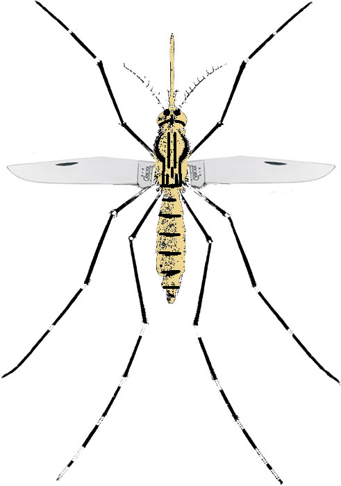 caseyellowceever_mosquito.jpg