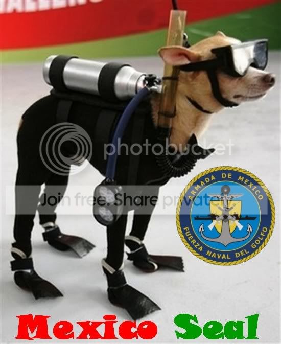 MexicoSeal.jpg