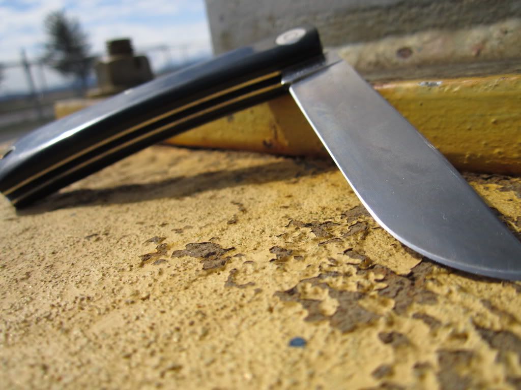 CanonPowershot014.jpg