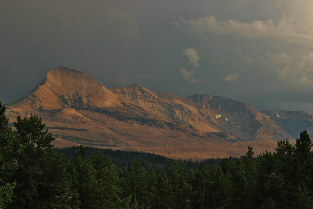 9554517221_51e360f8c8_b.jpg