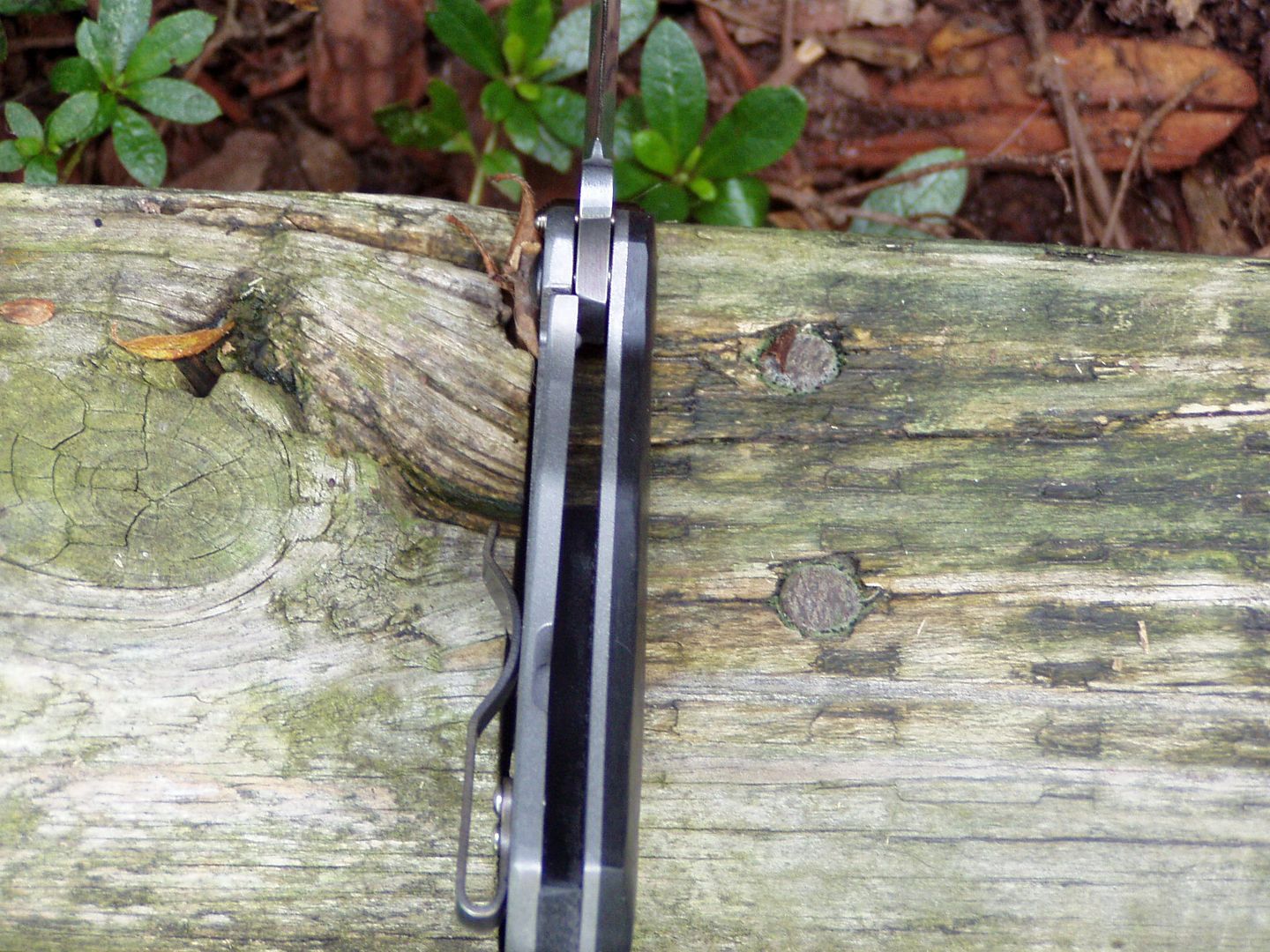 008_zpsbgq1cutt.jpg