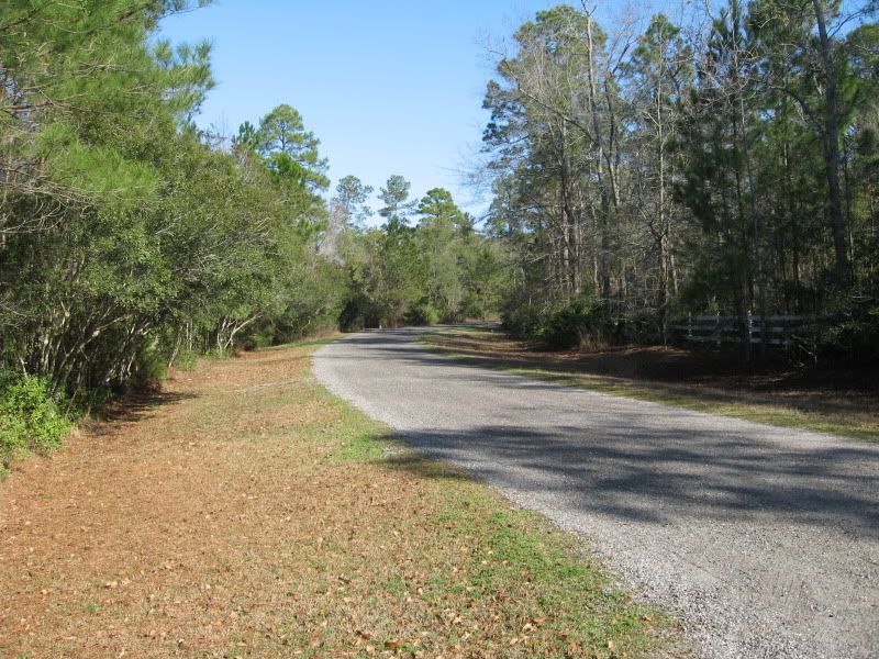 Walk002.jpg