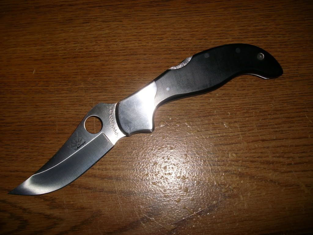 DSCI0541.jpg