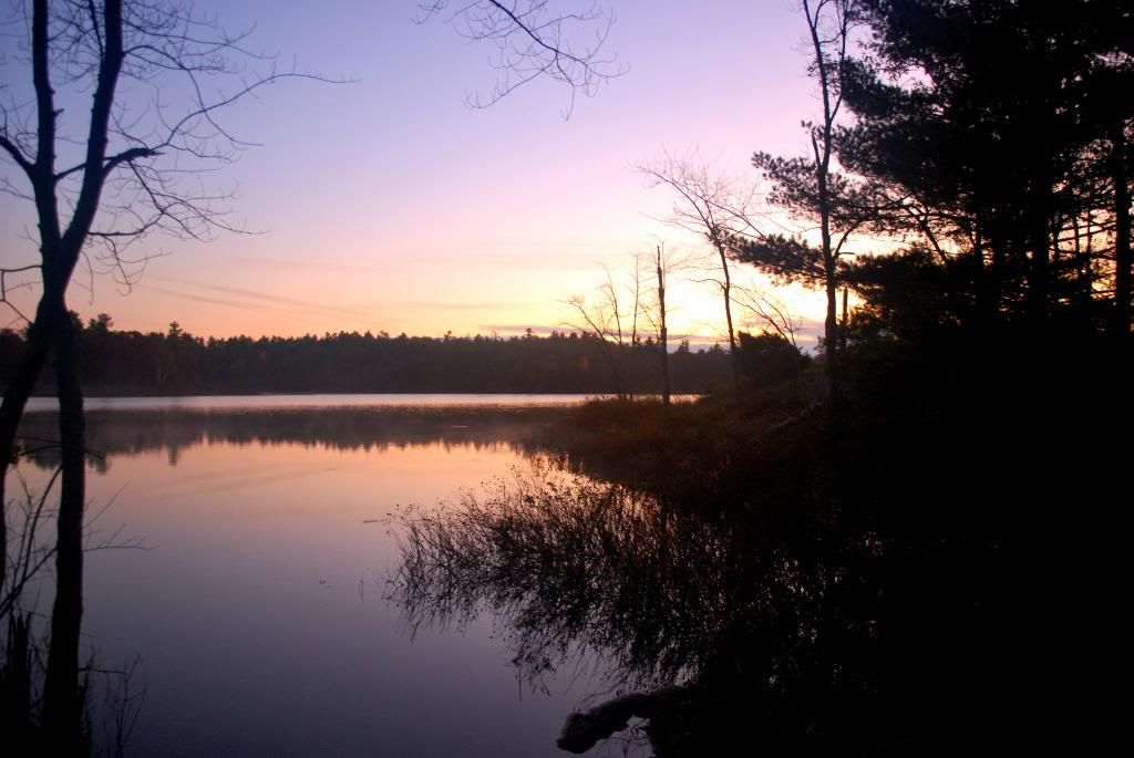 DSC_0024-8.jpg
