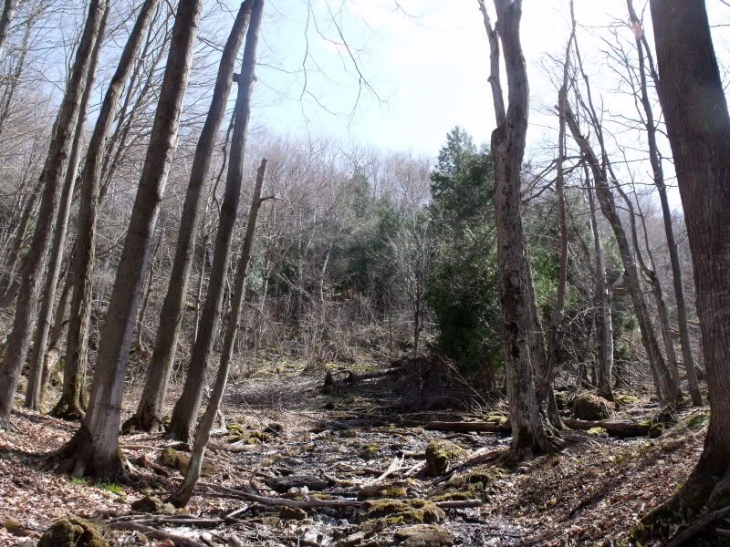 DSCF2293.jpg