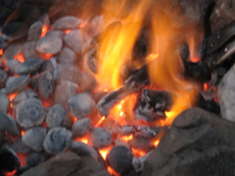 IMG_3180.jpg