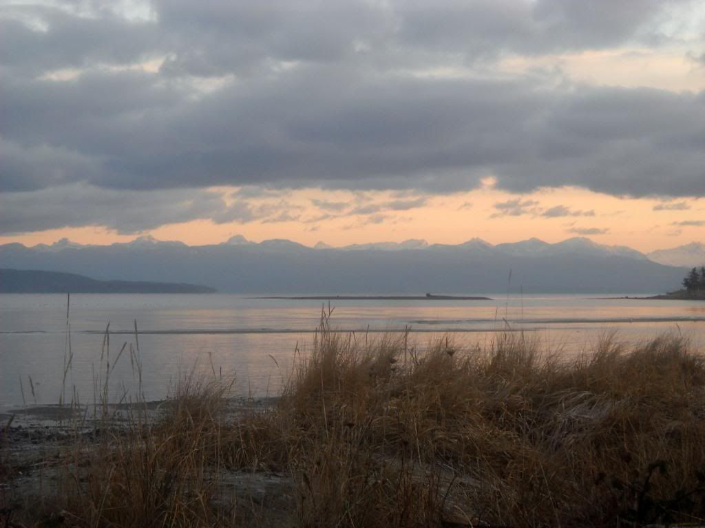 DSCN0269.jpg