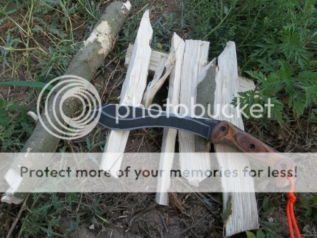 100_2076.jpg