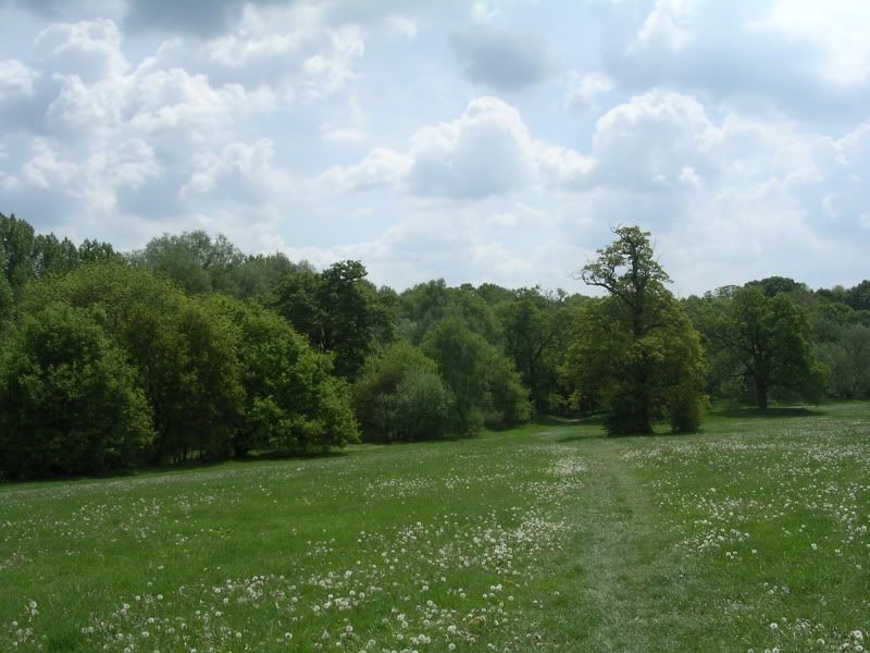 DSCN0937.jpg