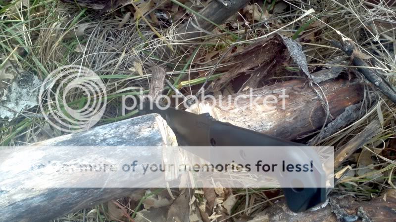 2012-02-28_12-50-23_866.jpg