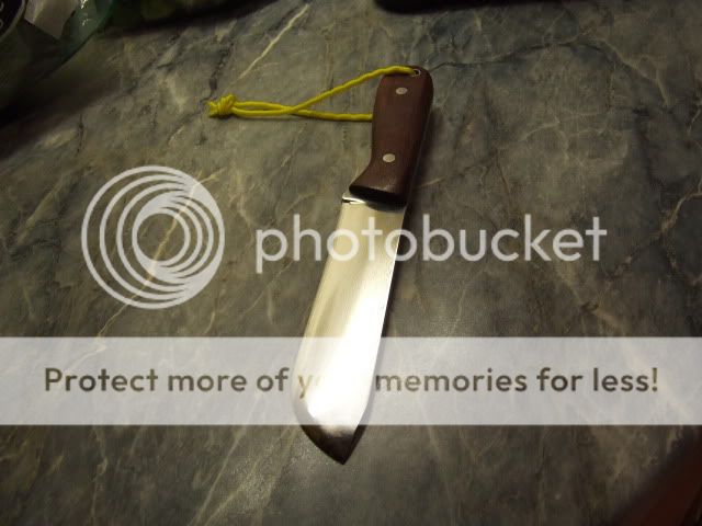 2009_12050017.jpg