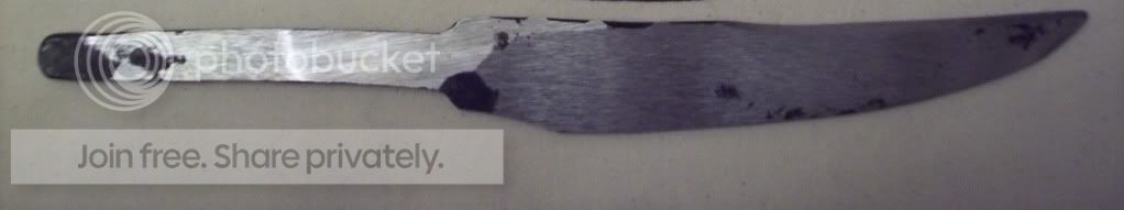 100_7937.jpg