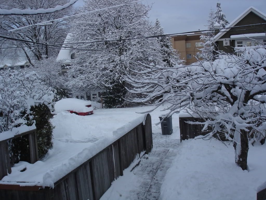 Snowpics005.jpg