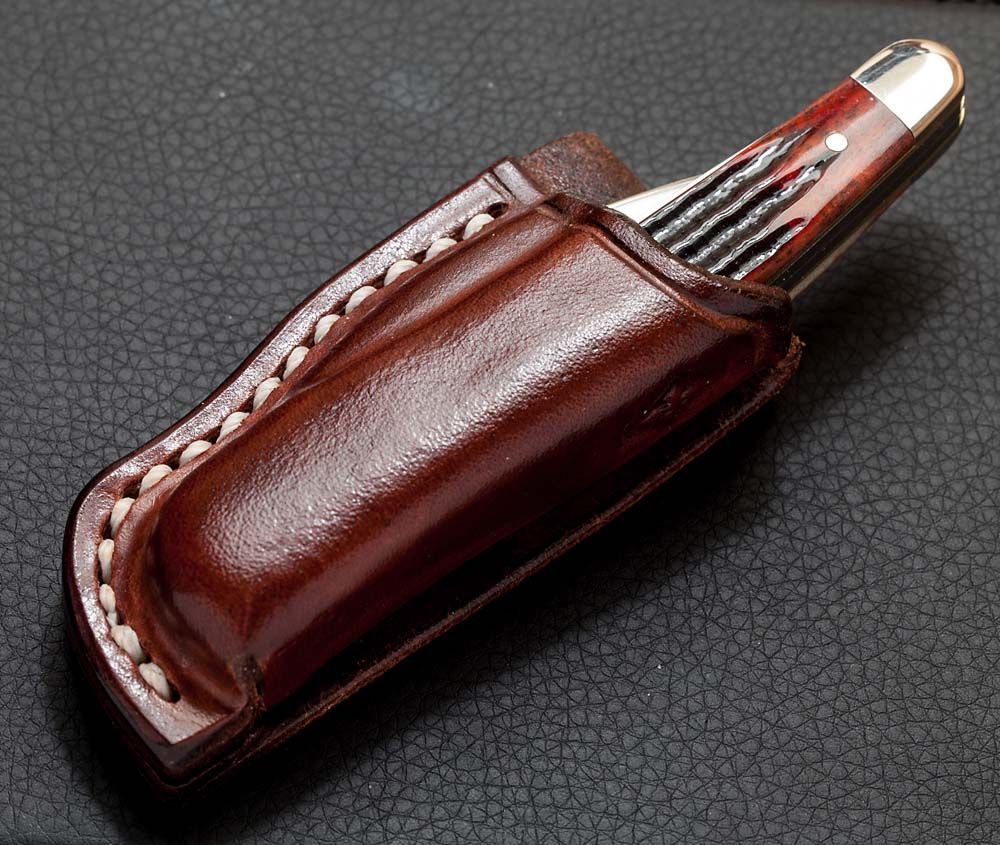 Seahorse_sheath2.jpg~original