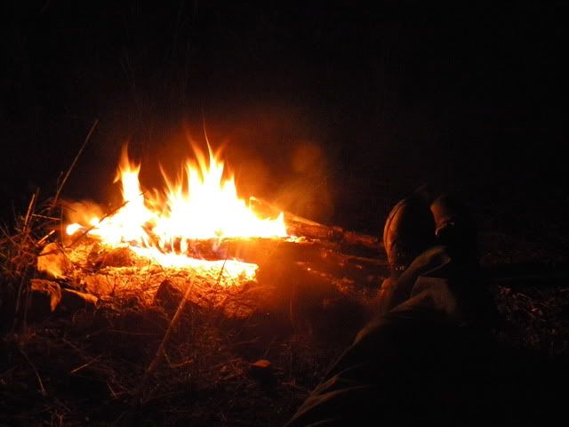 DSCN5417.jpg