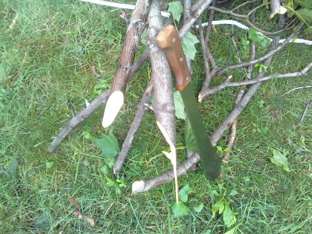 Brushpile_zps542eebb4.jpg