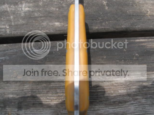 ppn017.jpg