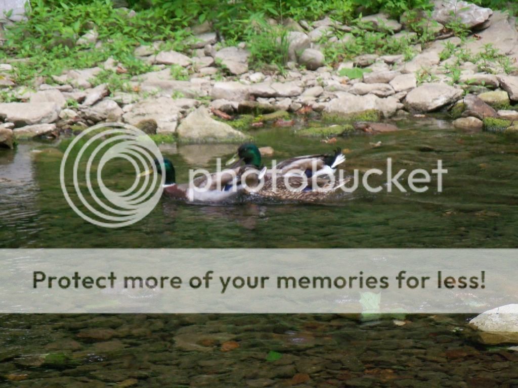 100_5286.jpg