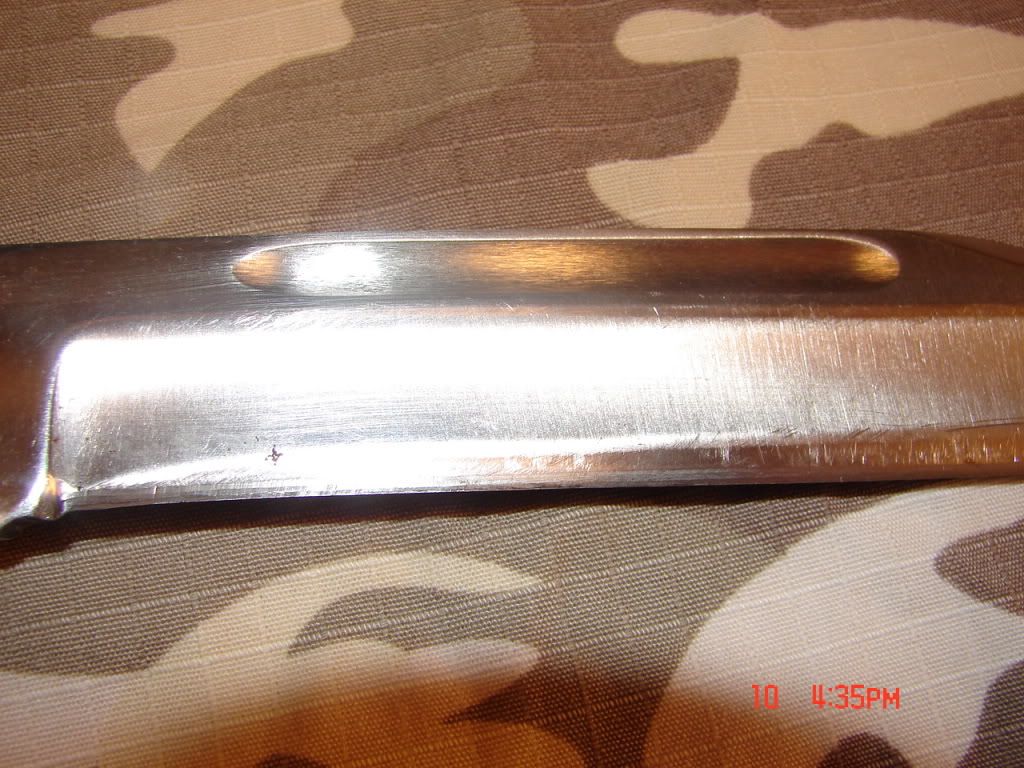 DSC06424.jpg