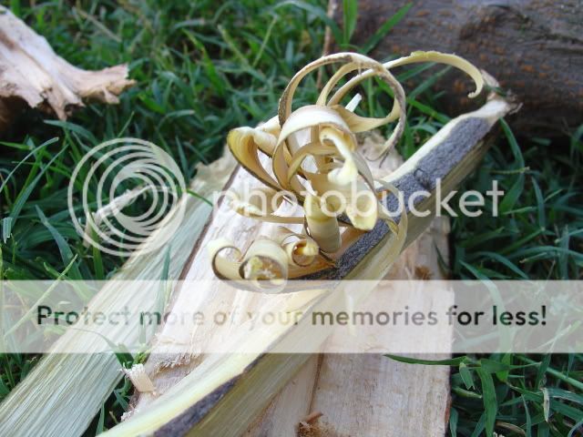 DSC04627.jpg