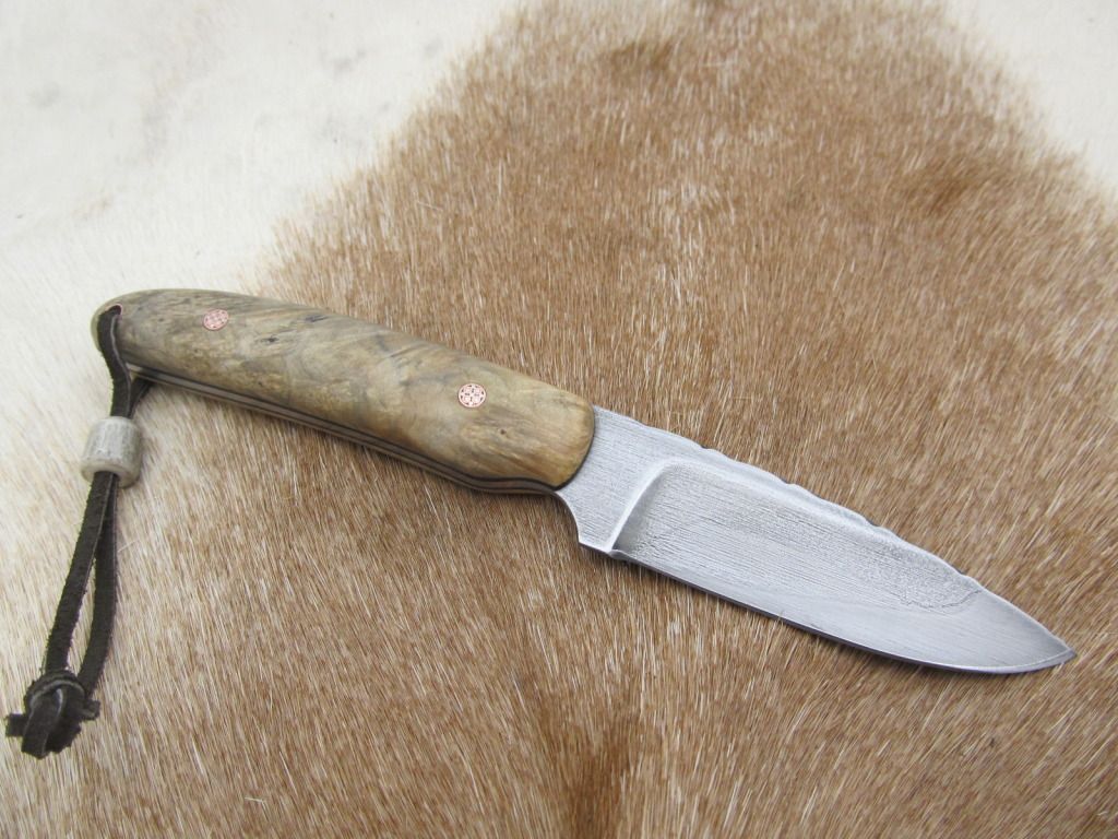 BoxElderedc-hunter014.jpg