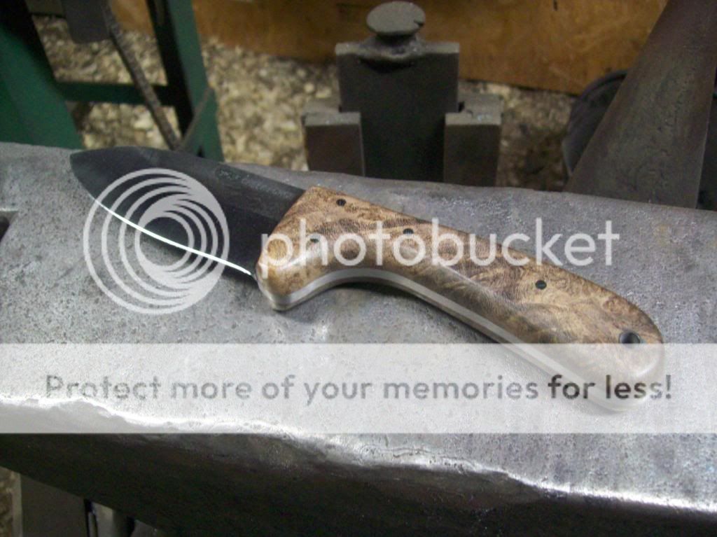 100_8735_zps9823f736.jpg