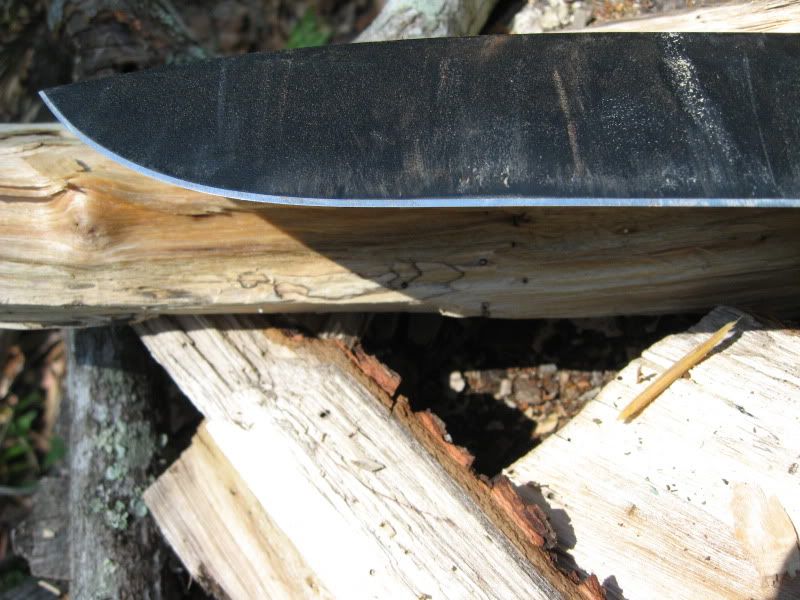 Junglas013.jpg