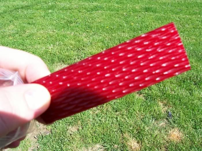 redbone2.jpg