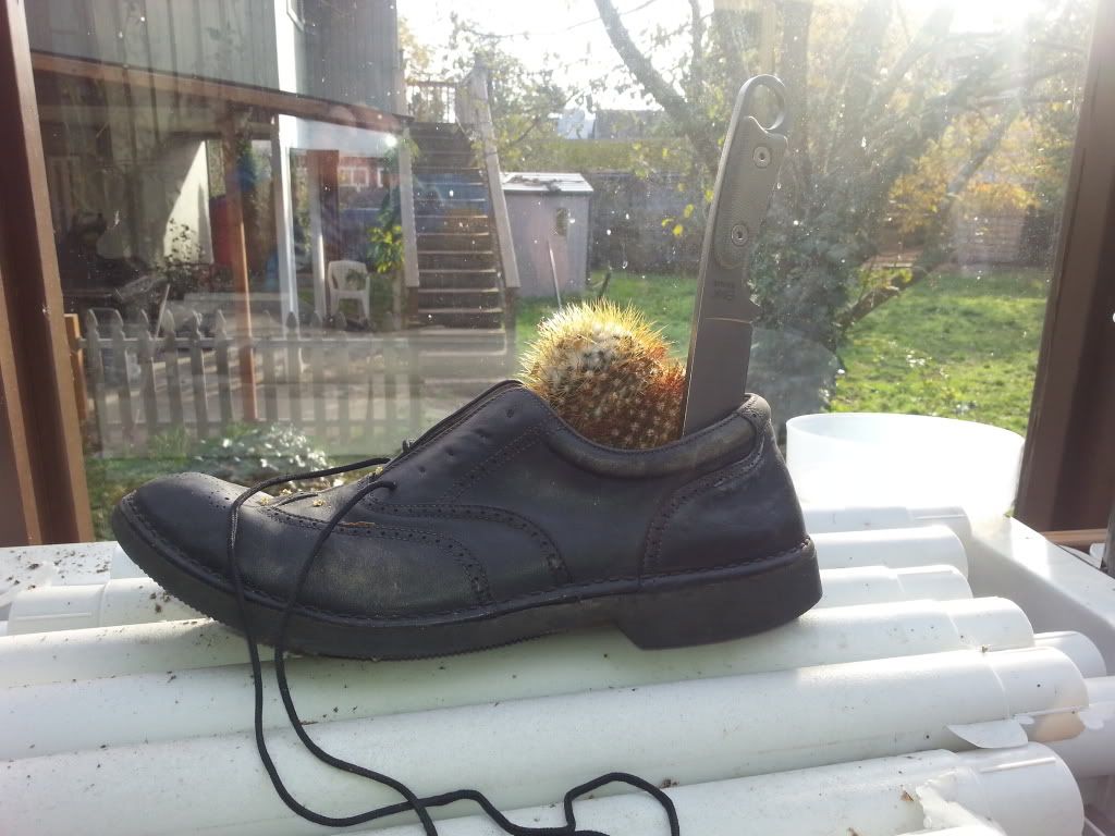 20131111_141225_zps03d8d539.jpg