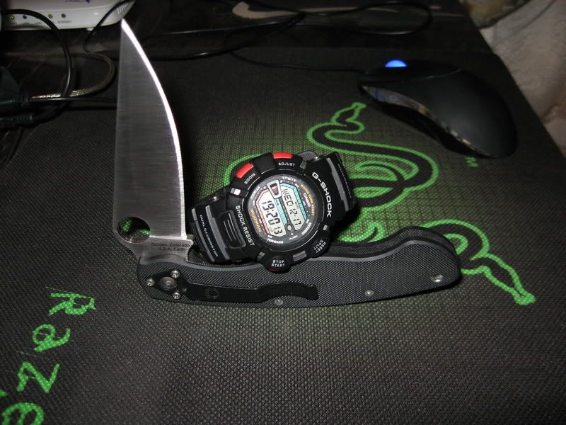 IMG_2460_resize.jpg