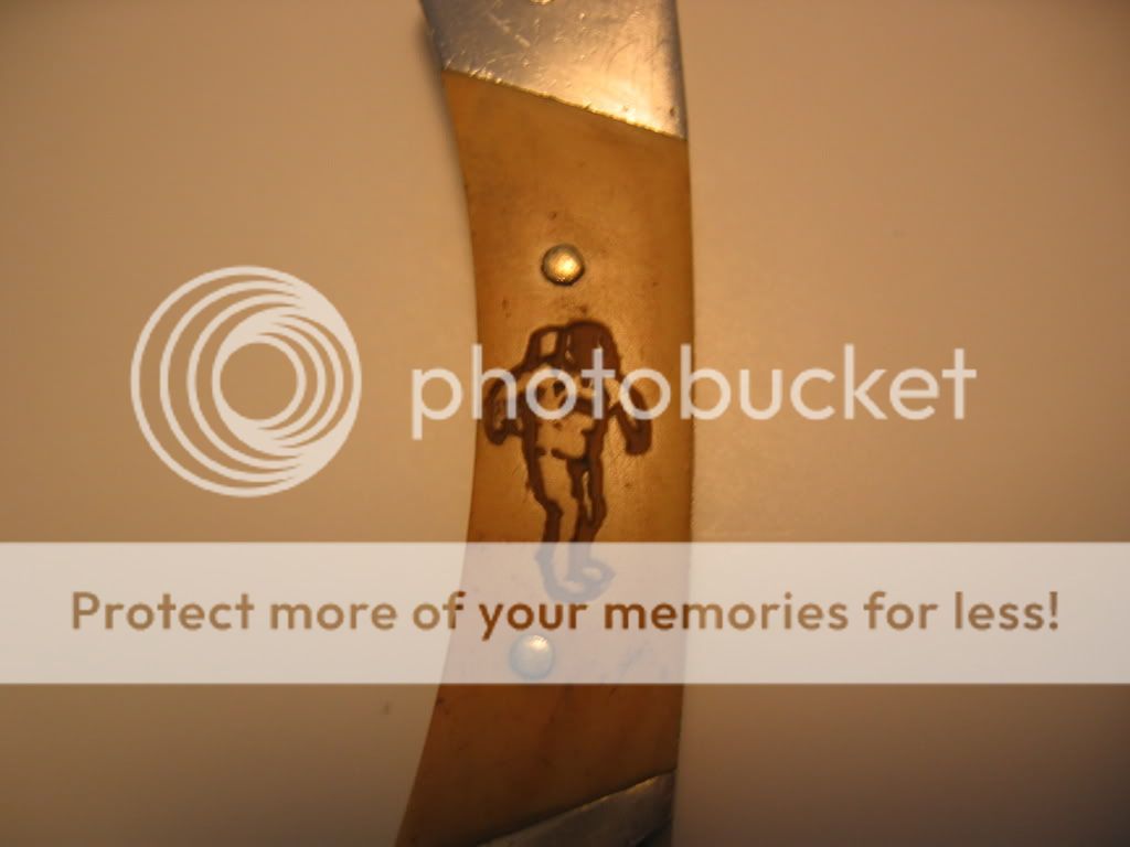 Buck506_3.jpg