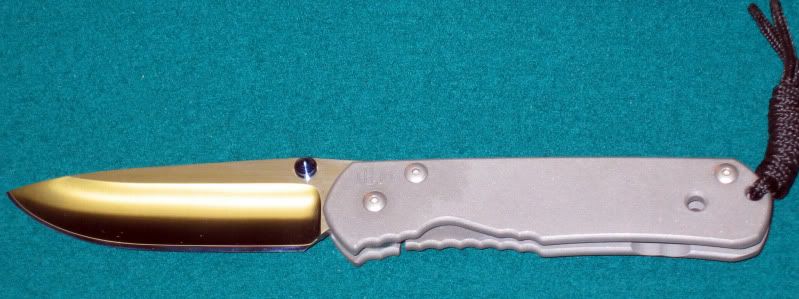 Lg_reg_Sebenza_10.jpg