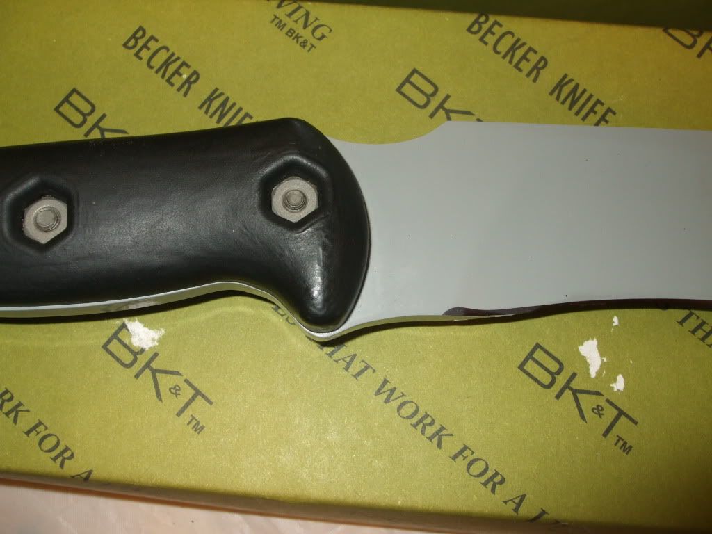 bladesandbrute022.jpg